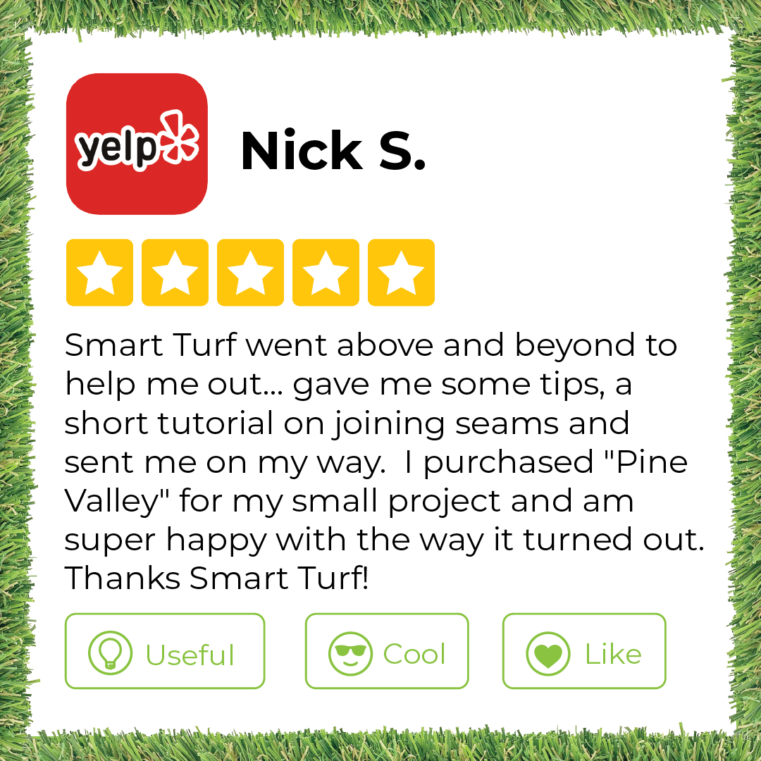 September 13 Yelp Review Nick S